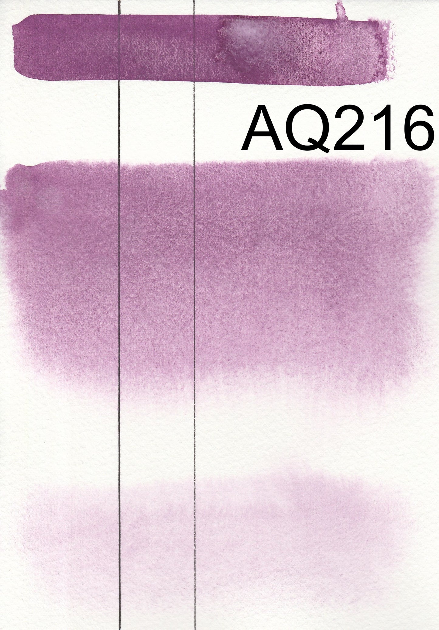 Roman Szmal Aquarius Aquarellfarben, Voll 1/1 Napf