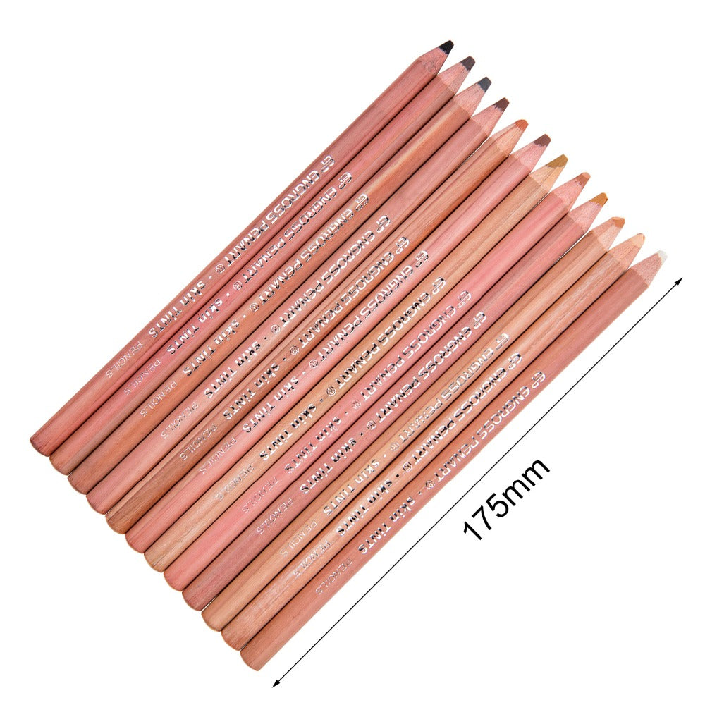 NEW Haut Tone Künstlirische Pastellstifte 12 Farben Set