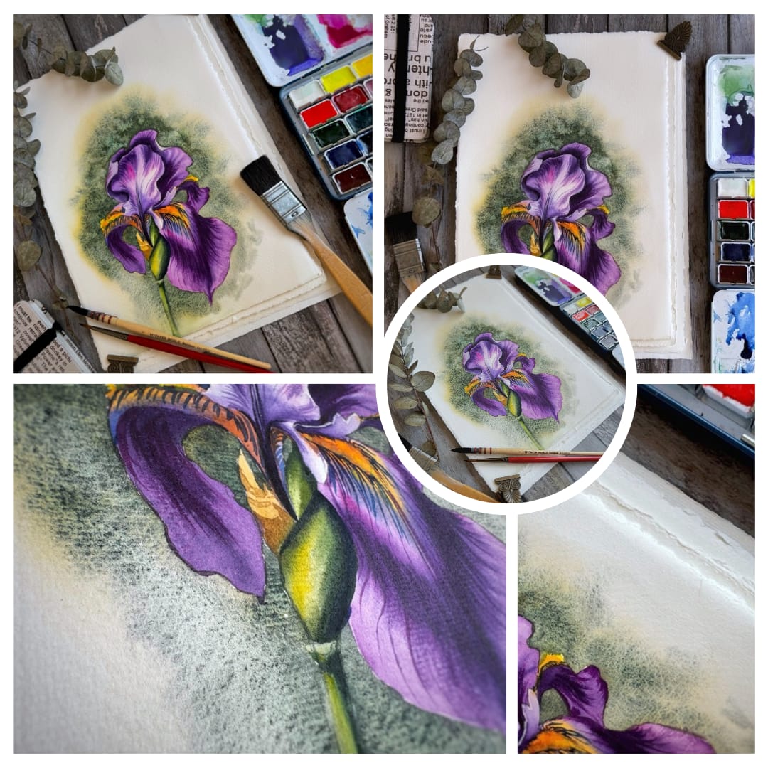 Amatruda Italienisches handgeschöpftes  Aquarell Papier, 340 g 100 % Baumwolle, 5 Bogen Packung, Rough